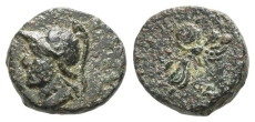 Pamphylia, Side AE 16mm. Pamphylia, Side AE 16mm.