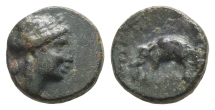 Seleukid Empire, Antiochos III AE Chalkous. Seleukid Empire, Antiochos III AE Chalkous.