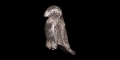 Roman Silver Eagle Statuette