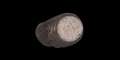 Roman Silver Ring with Figural Gemstone