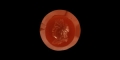 Roman Gemstone with Bust