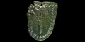 Medieval Decorative Tag