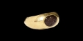 Roman Running Wolf Gemstone in Gold Ring