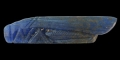 Roman Grasshopper Amulet
