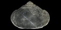 Mughal Rock Crystal Pendant