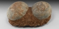 Natural History - Hadrosaur Dinosaur Egg Pair
