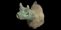 Iron Age Celtic Bull-Headed Spout