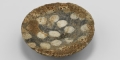 Egyptian Fossiliferous Limestone Dish