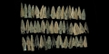 Greek Tri-Finned Arrowhead Collection