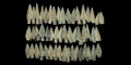 Greek Tri-Finned Arrowhead Collection