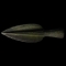 Bronze Age Lusatian Spearhead