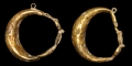 Greek Gold Leech Earring Pair