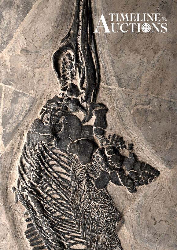 Fossils, Minerals & Crystals(CLOSING FOR ENTRIES ON 3RD OCTOBER)