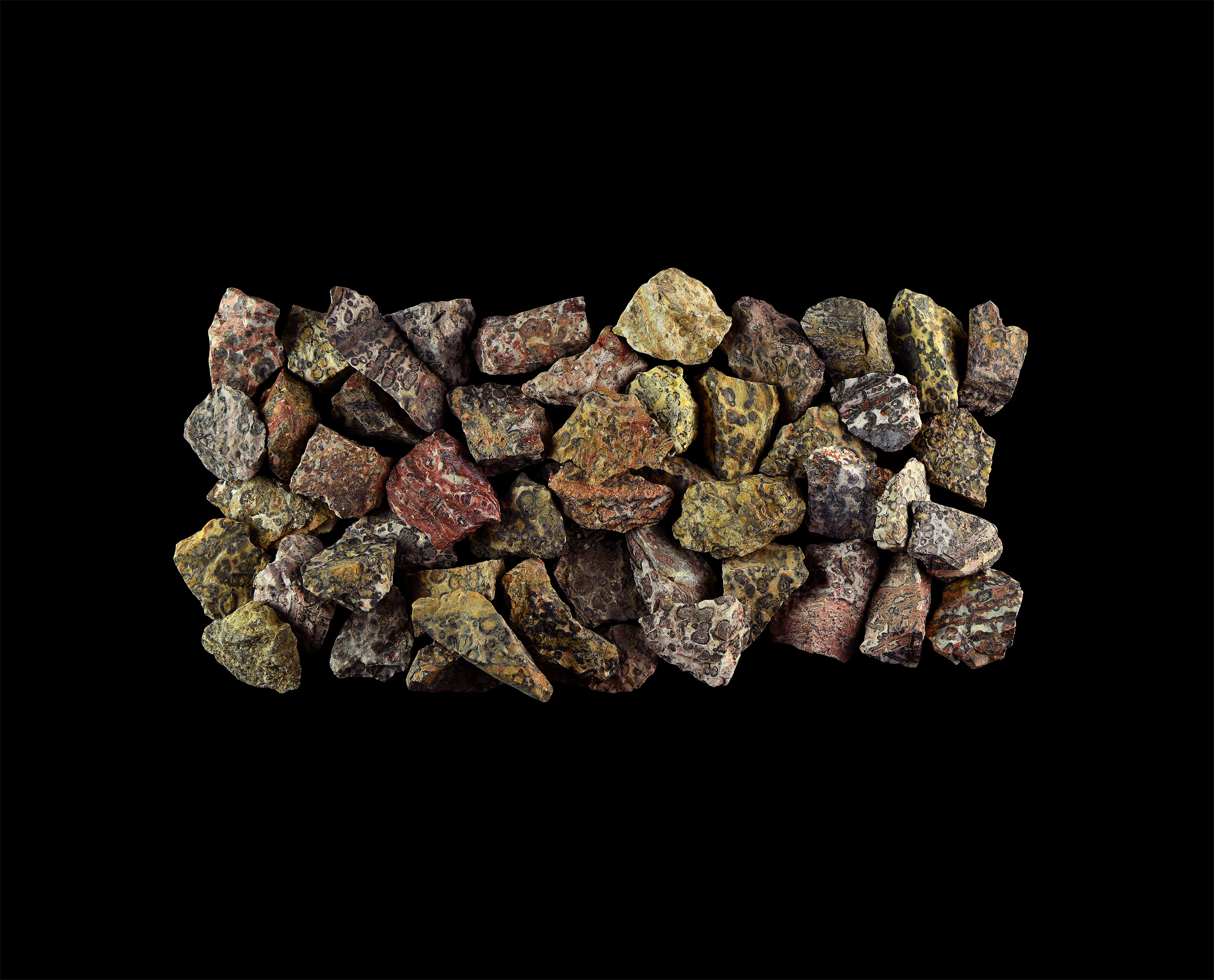 50 Leopard Skin Stone Mineral Specimens