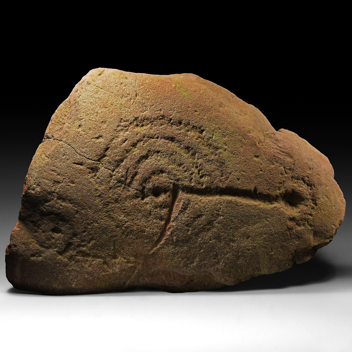 'The Whixall' Early Bronze Age Cup-and-Ring Monolith