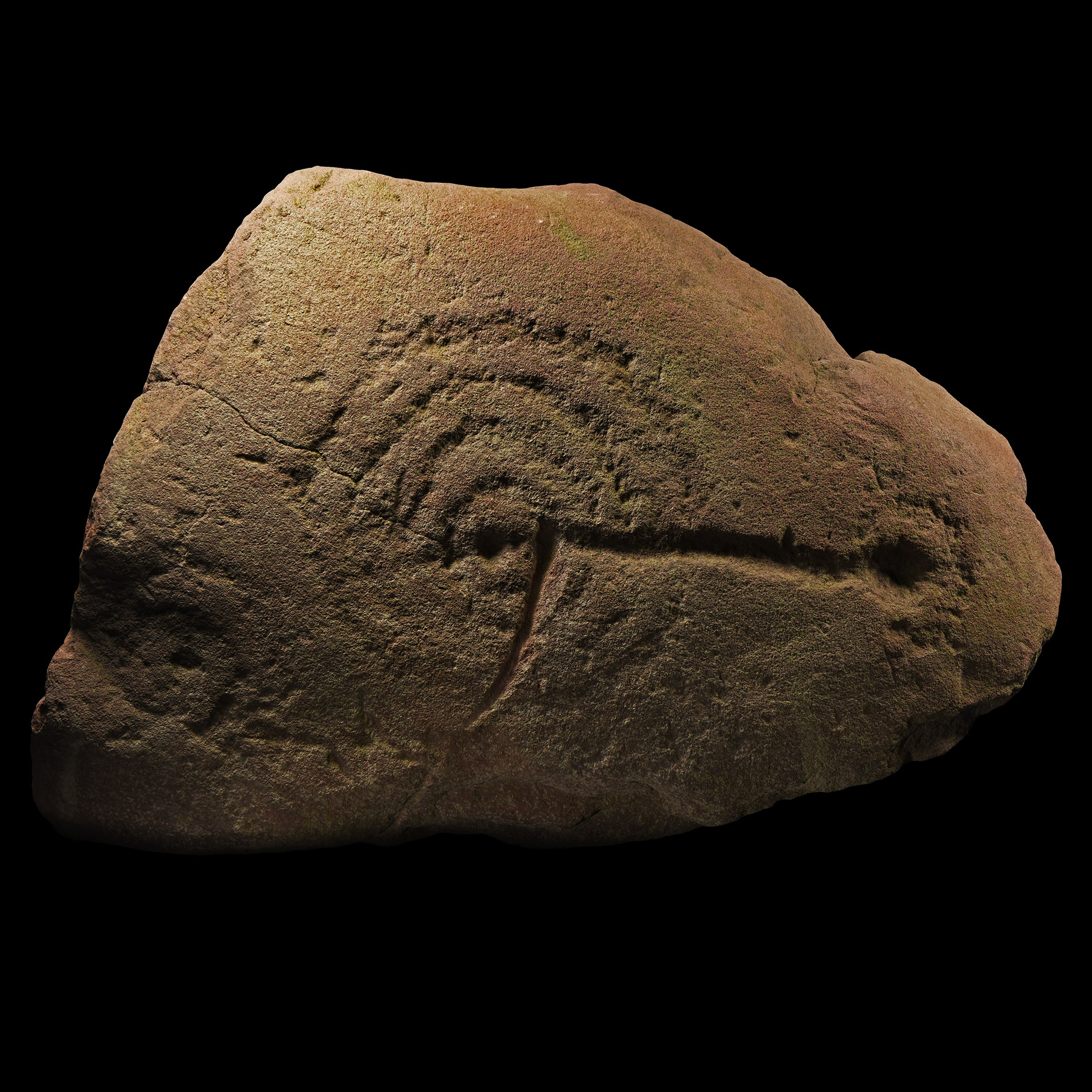 'The Whixall' Early Bronze Age Cup-and-Ring Monolith