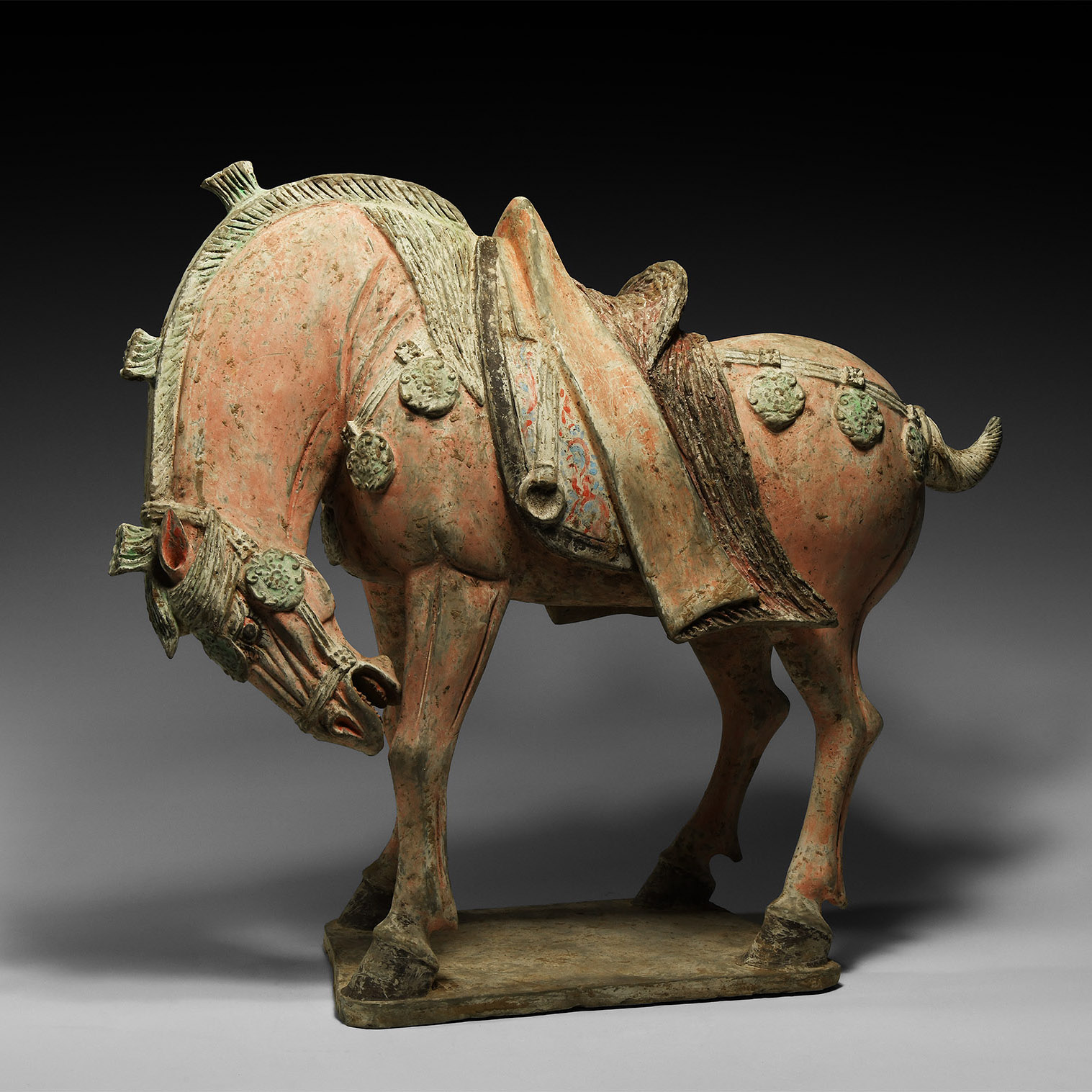 Chinese Tang Caparisoned Horse with Lowered Head