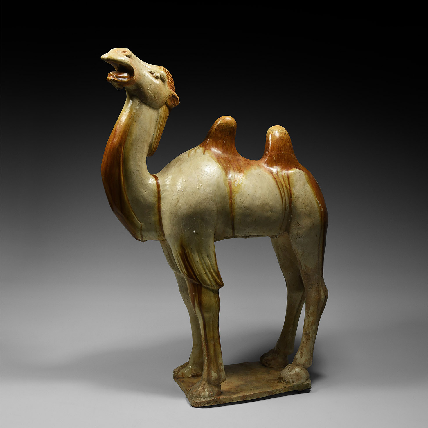 'The Desmond Morris' Chinese Tang Camel