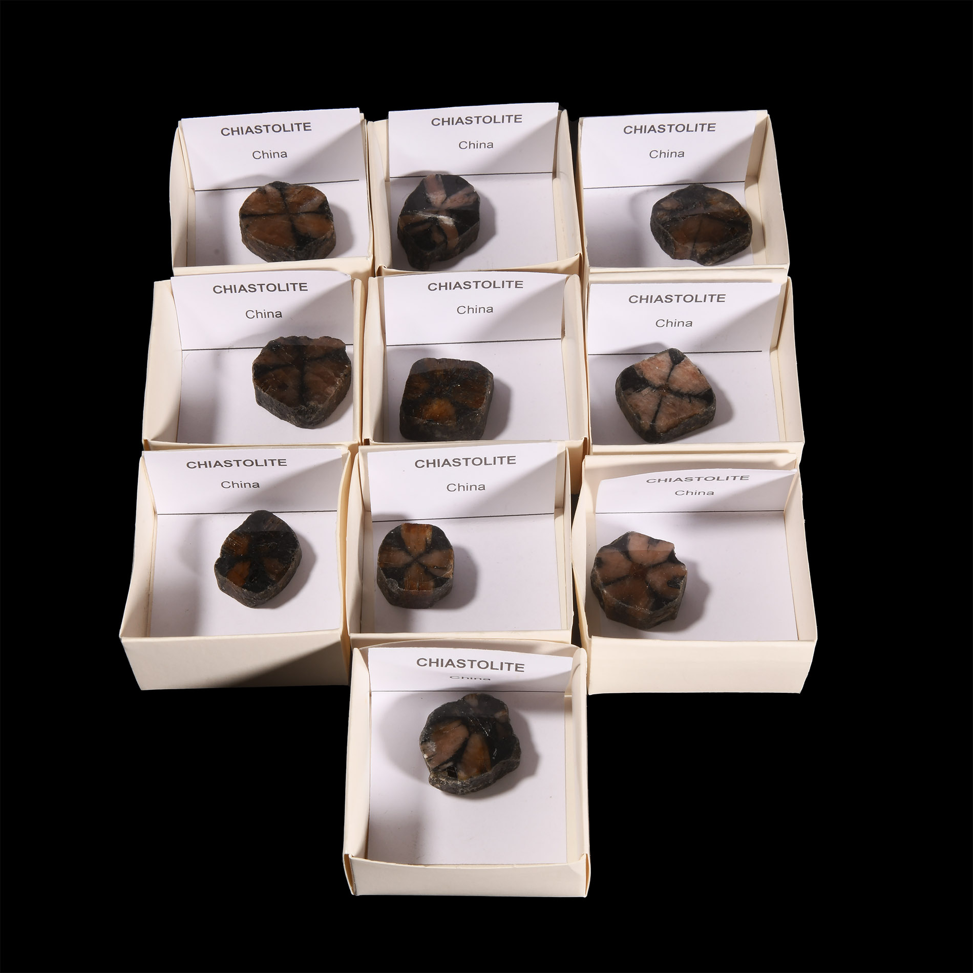 Chiastolite Polished Mineral Specimen Collection
