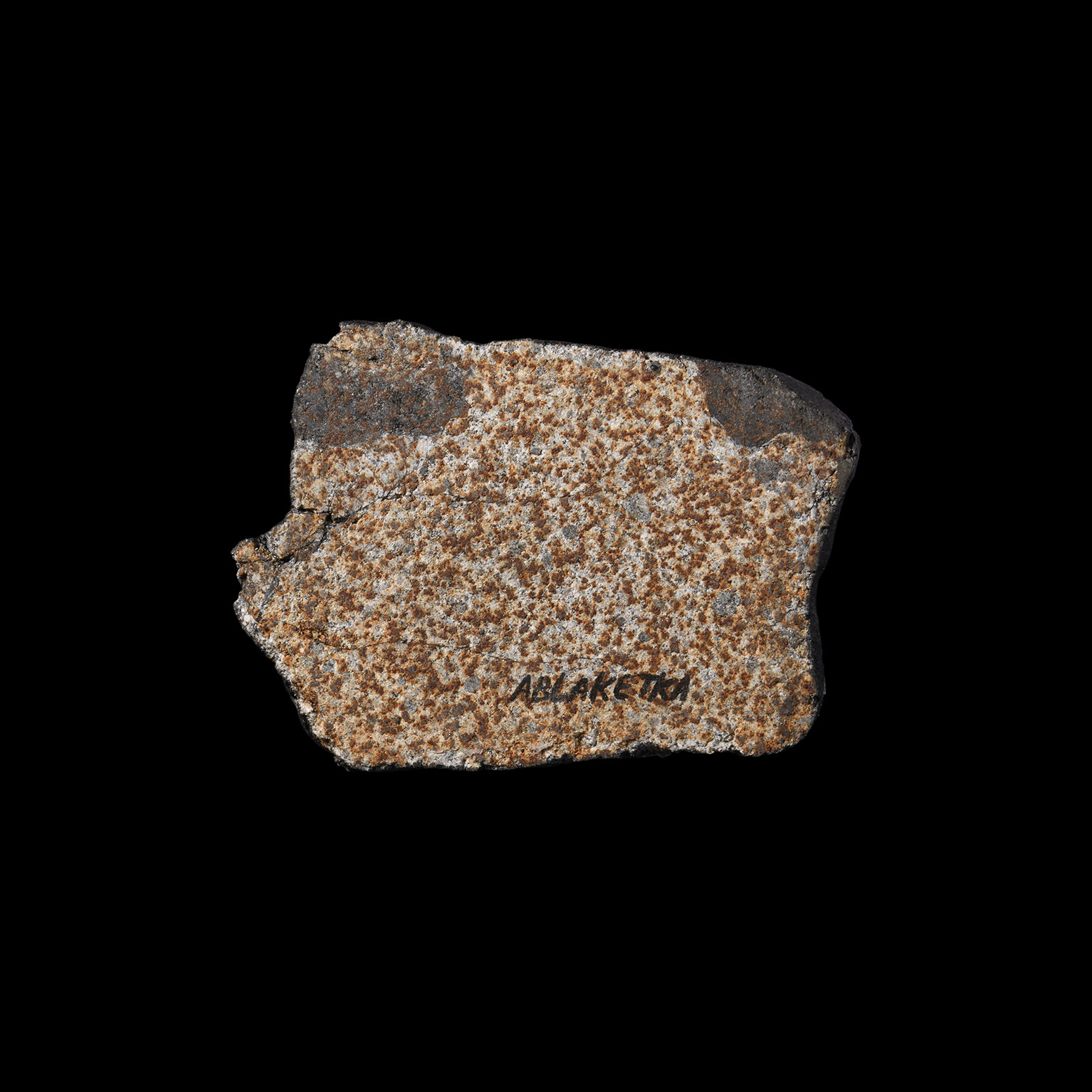 Natural History - Ablaketka Kazakhstan Meteorite Full Slice with Fusion Crust
