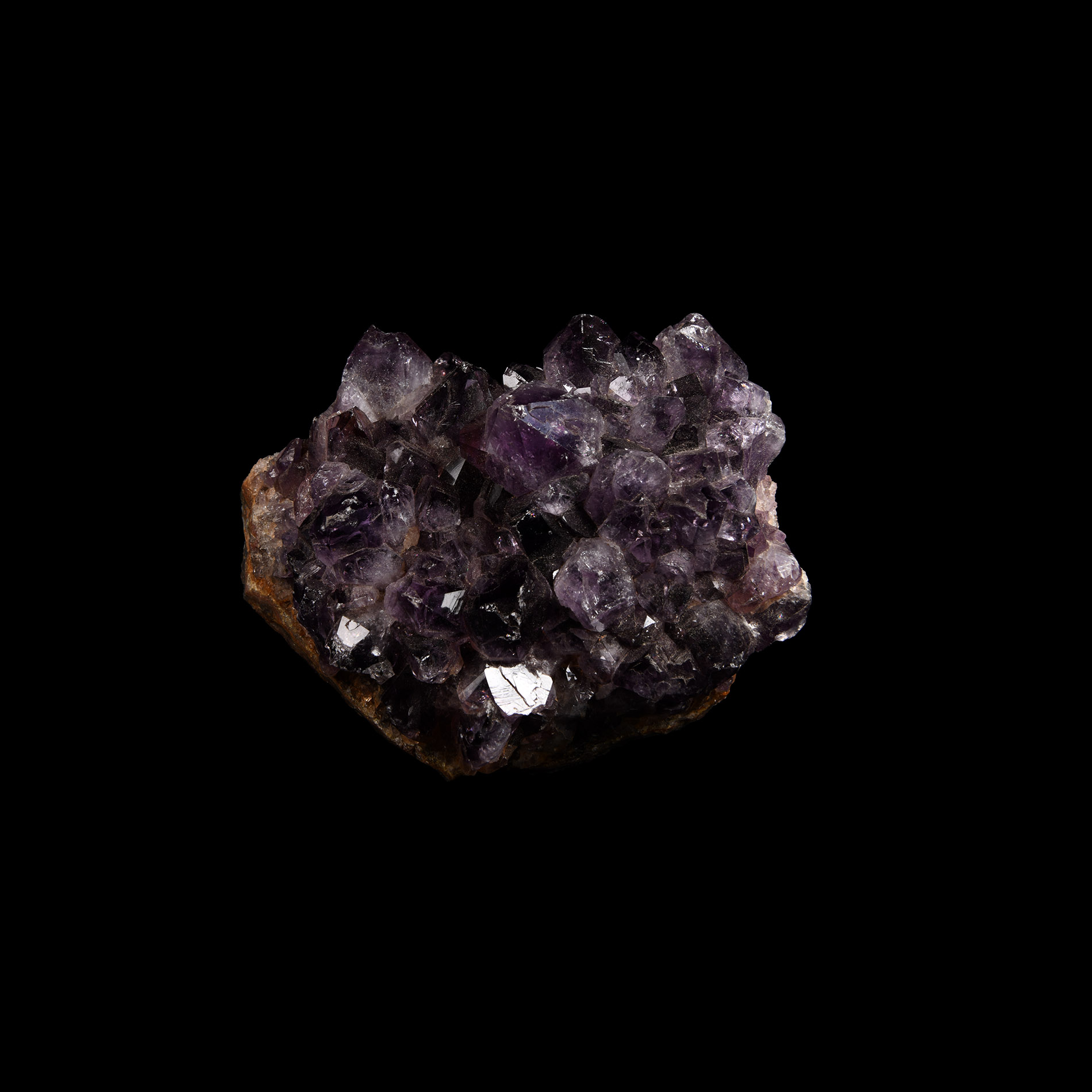 Natural History - Amethyst Crystal Specimen