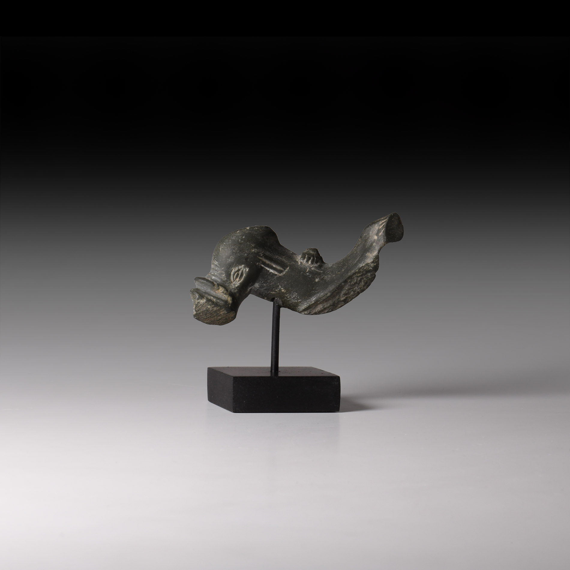 Roman Schist Dolphin