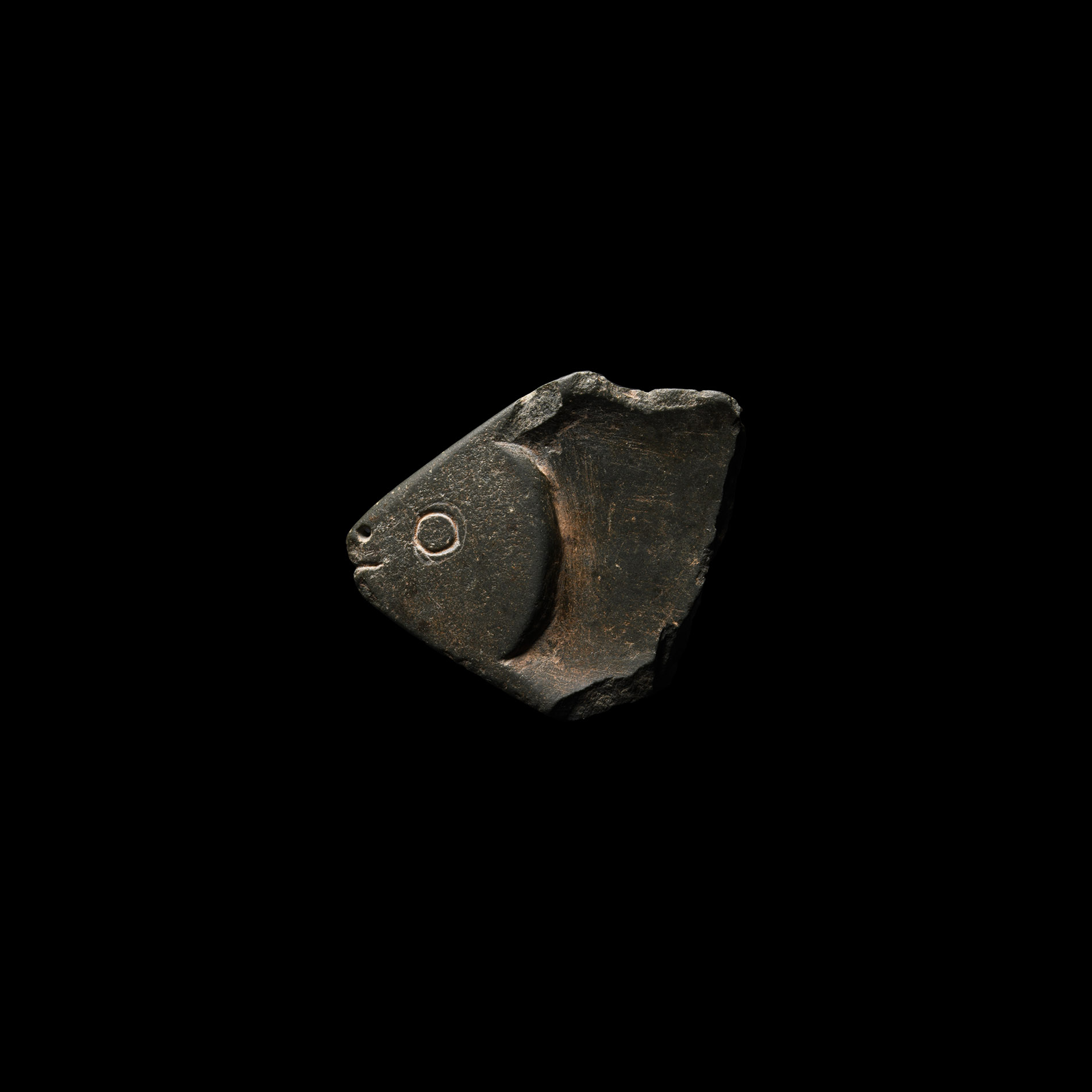 Egyptian Greywacke Cosmetic Fish Spoon Section