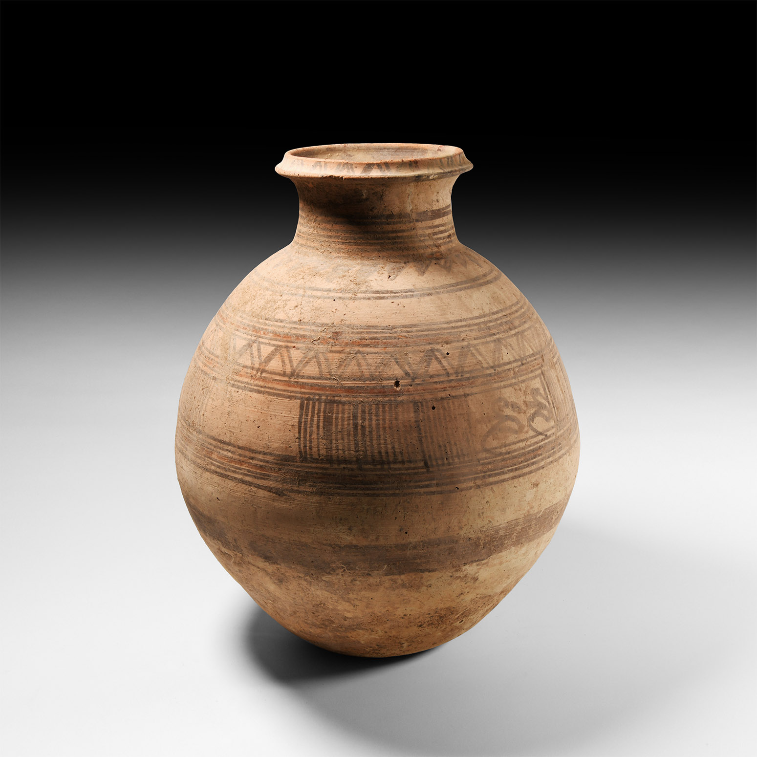 Western Asiatic Jar with Birds