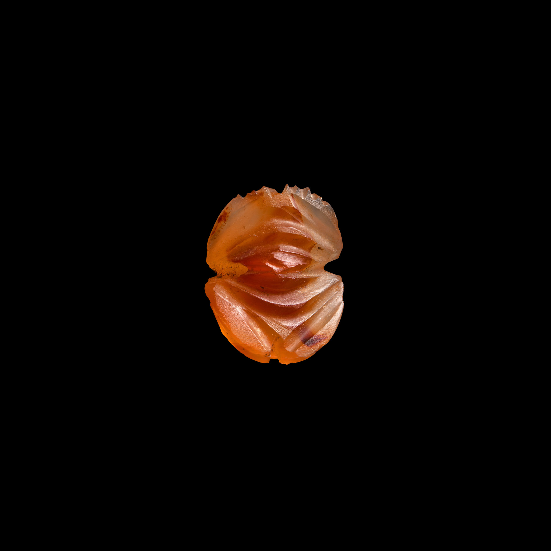 Egyptian Carnelian Scarab