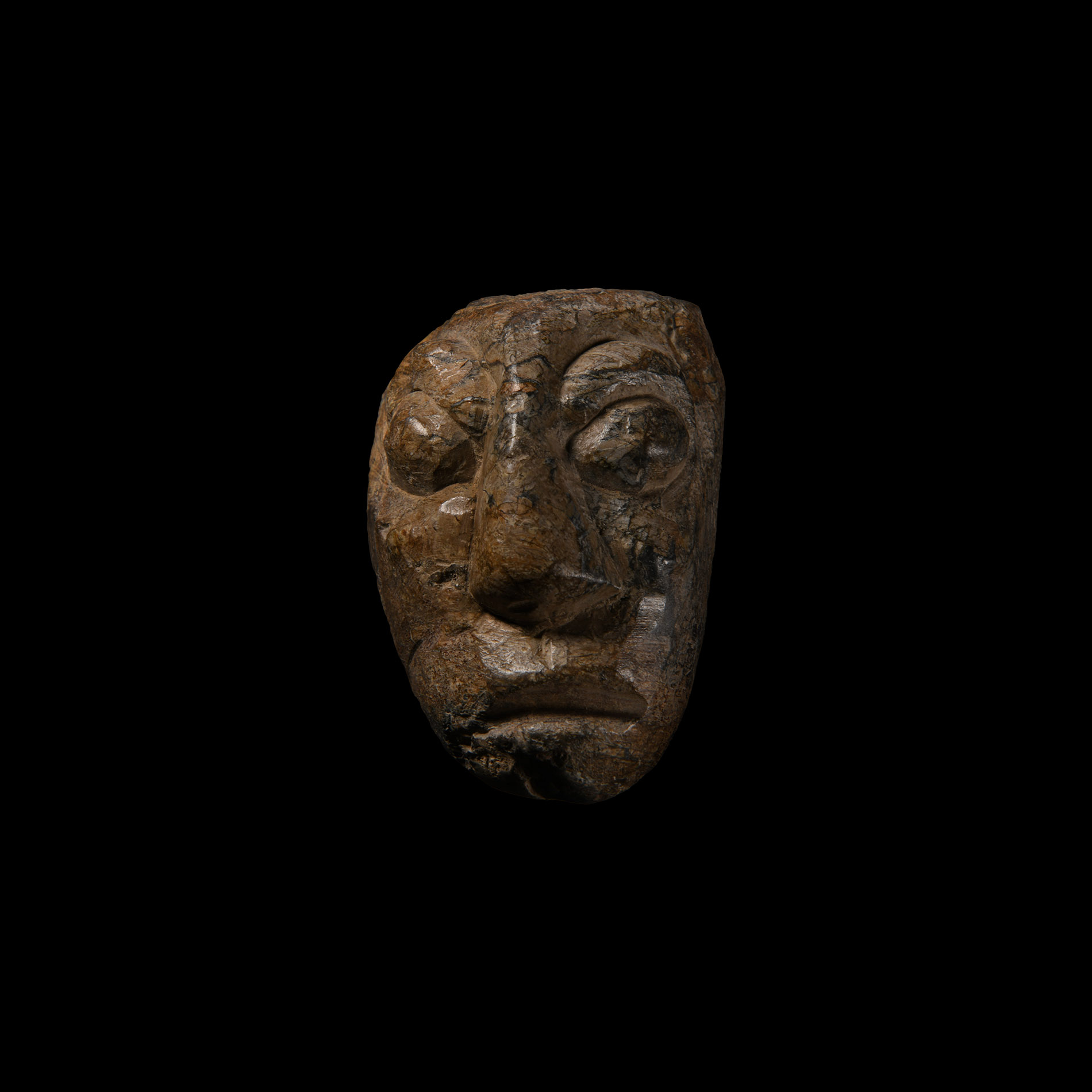 Natural History - Mastodon Fossil Tusk Carving