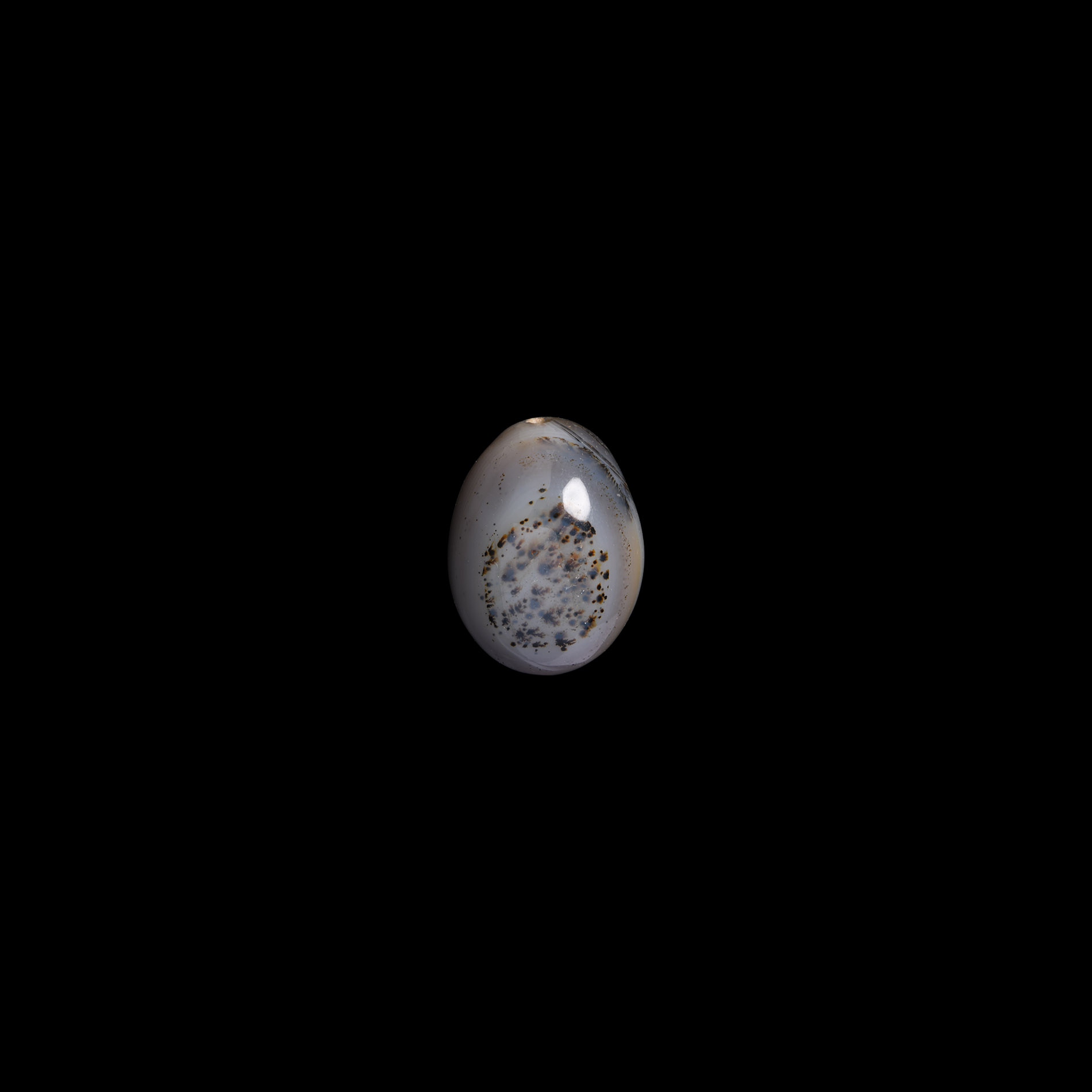 Natural History - Moss Agate Bead