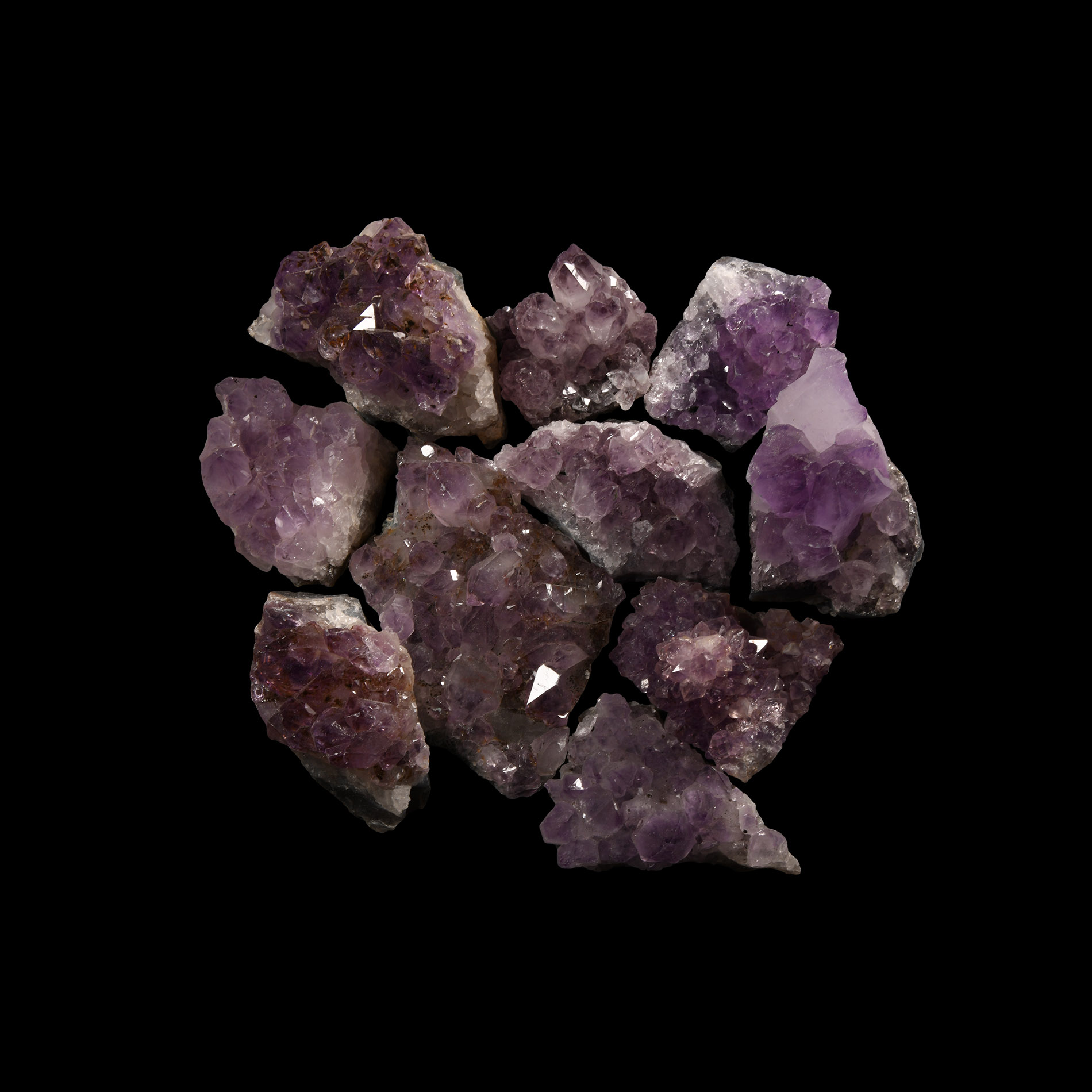 Natural History - Amethyst Crystal Geode Section Group