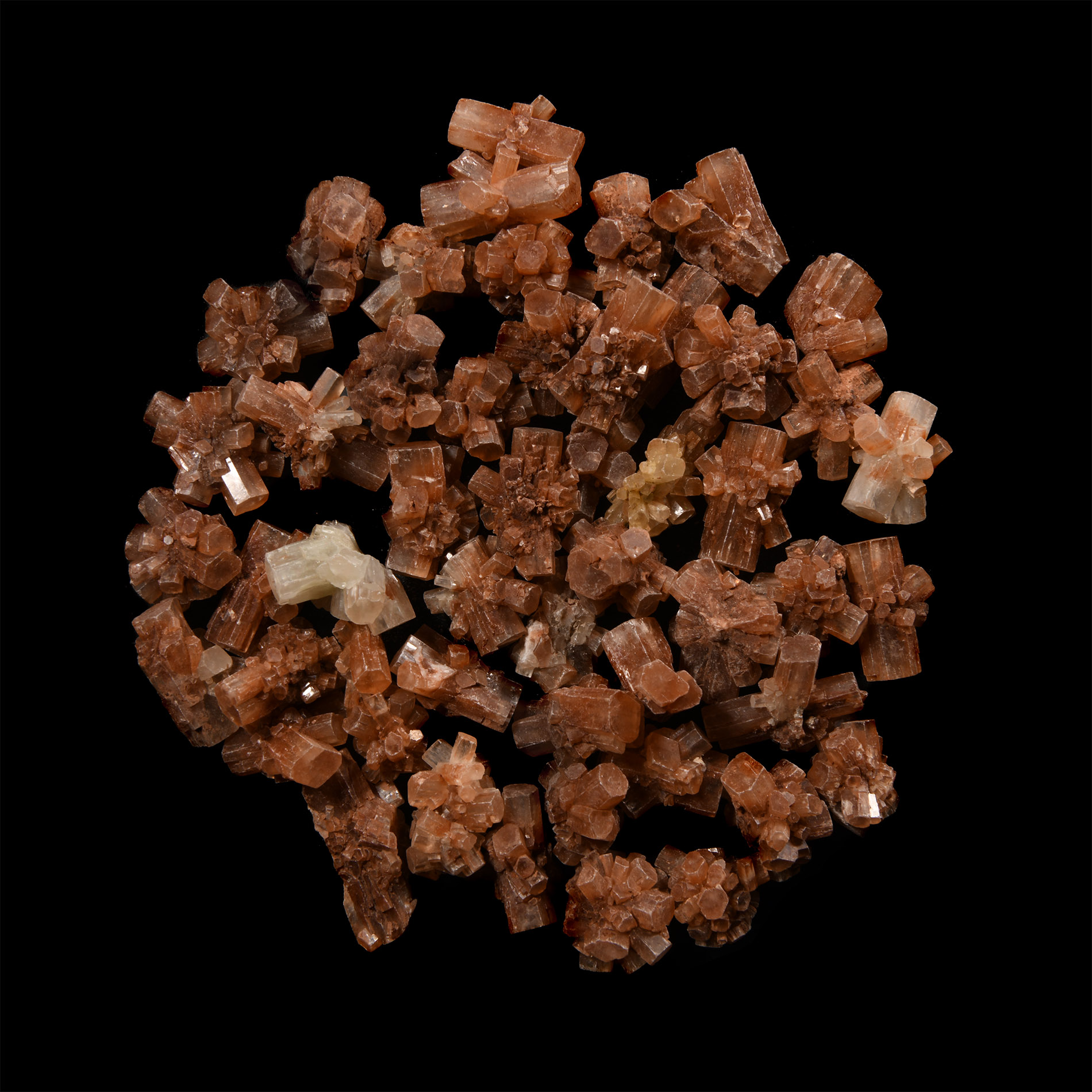 Natural History - Aragonite  'Sputnik' Cluster Crystal Group