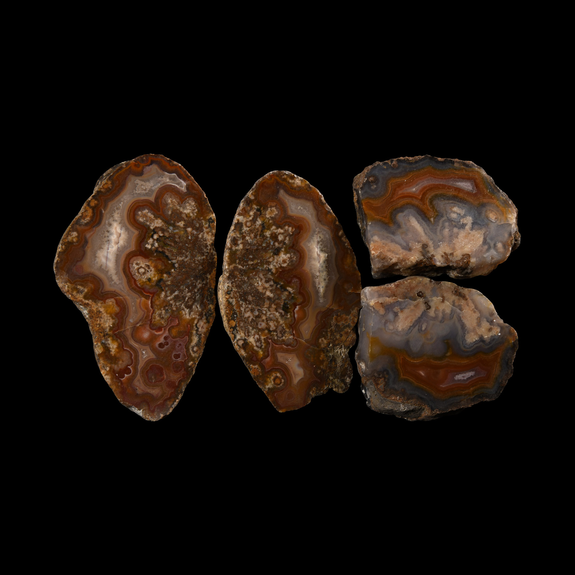 Natural History - Cut and Polished Agate Crystal Geode Section Group