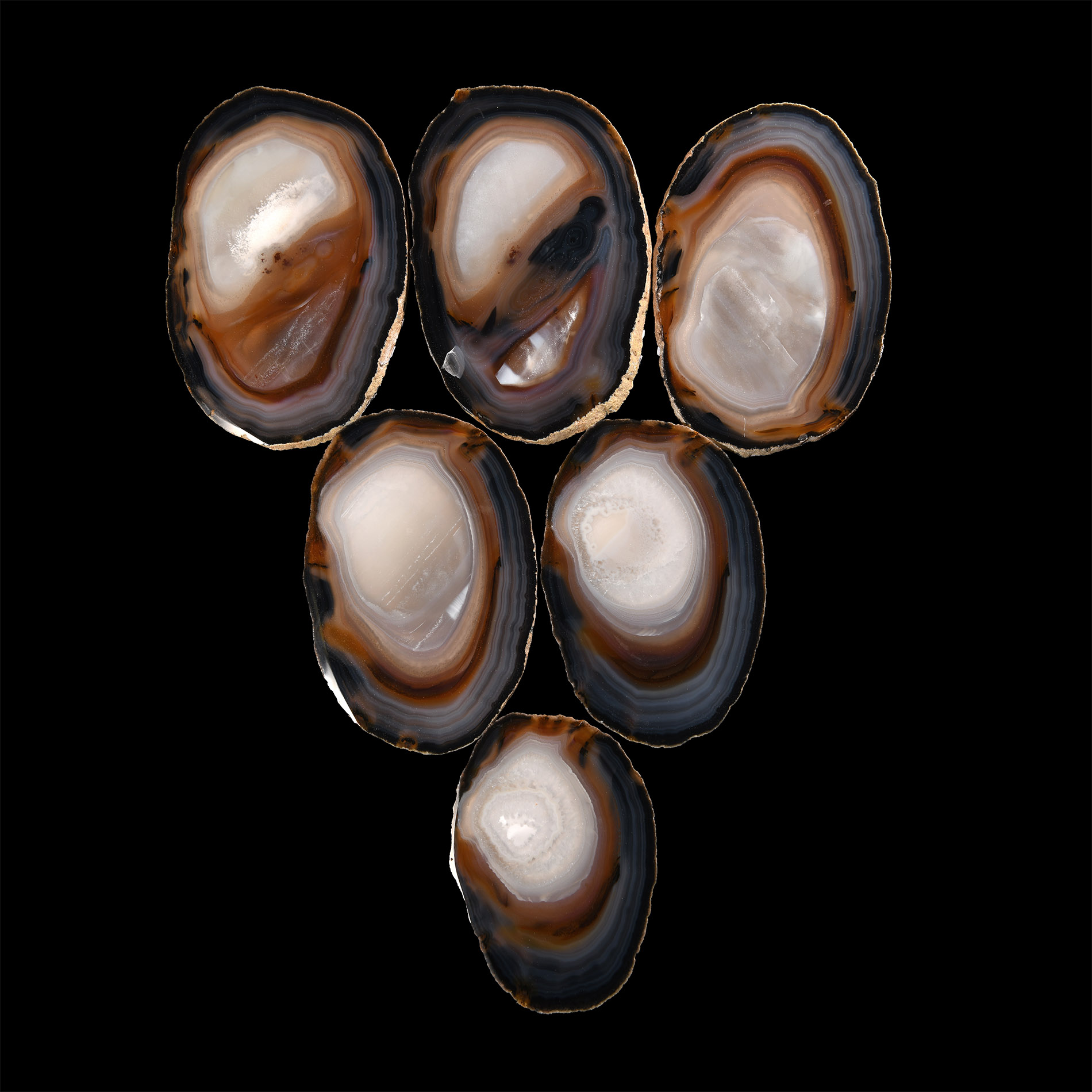 Natural History - Cut and Polished Agate Coaster Set
