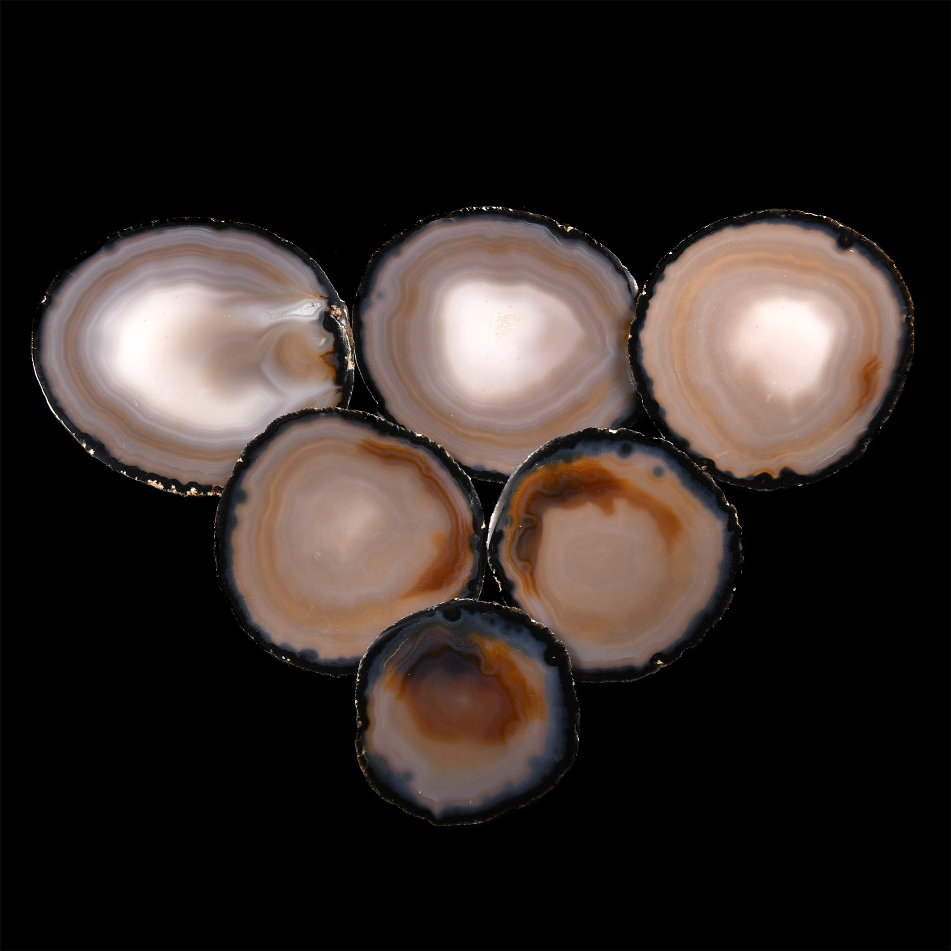Natural History - Cut and Polished Agate Coaster Set