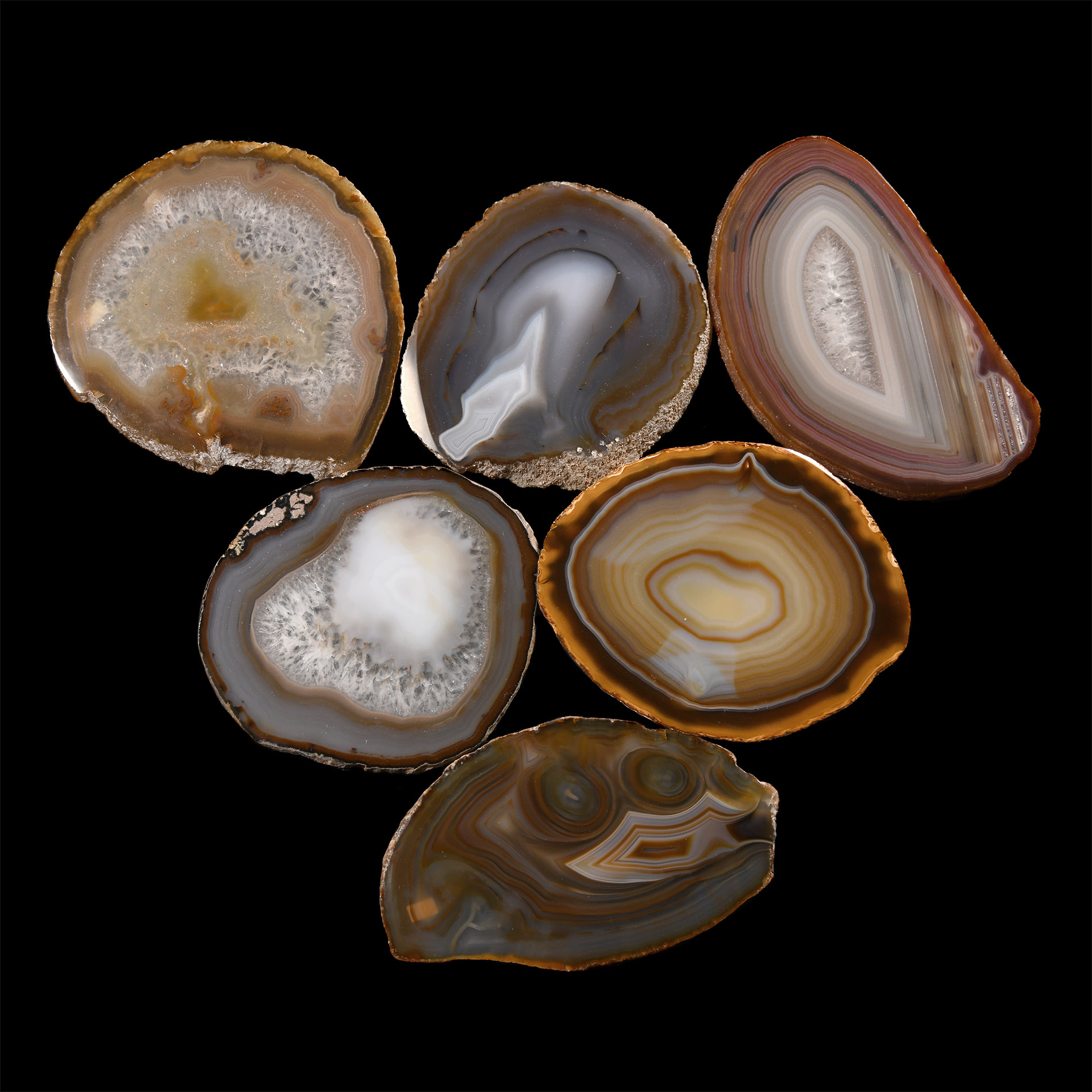 Natural History - Cut and Polished Agate Crystal Geode Section Slice Group
