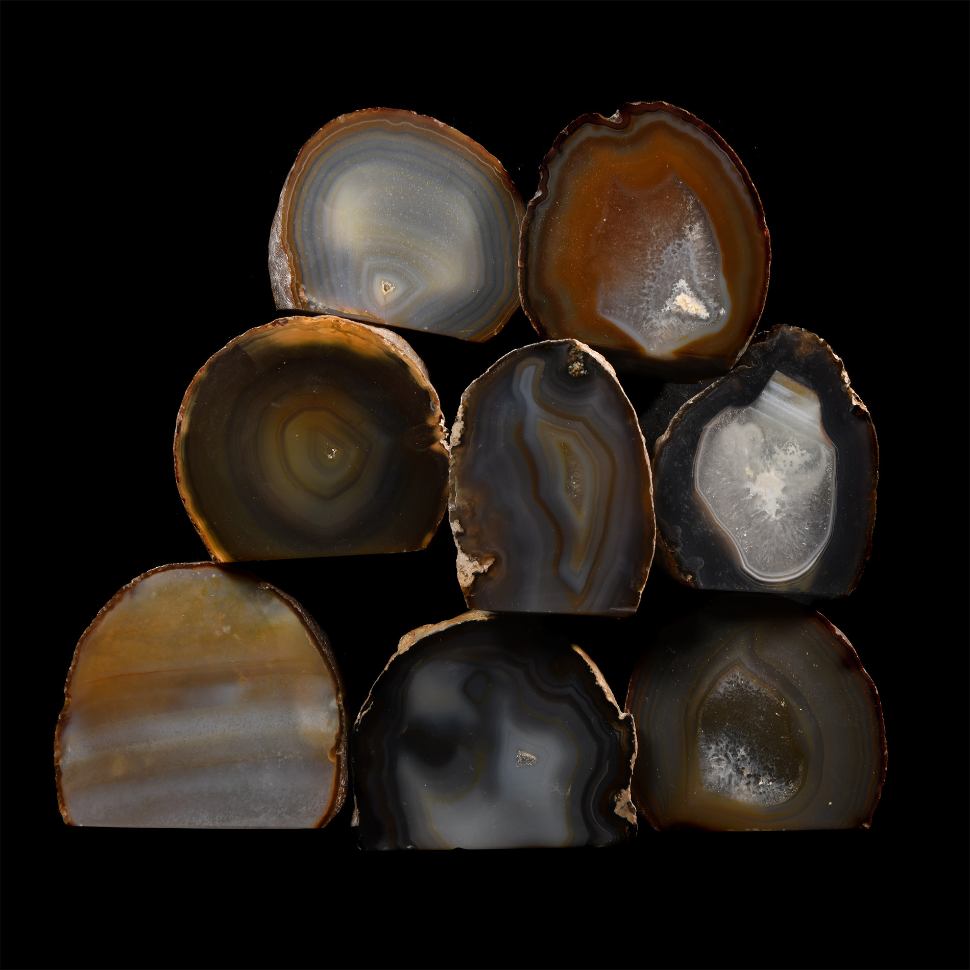 Natural History - Cut and Polished Agate Crystal Geode Section Group