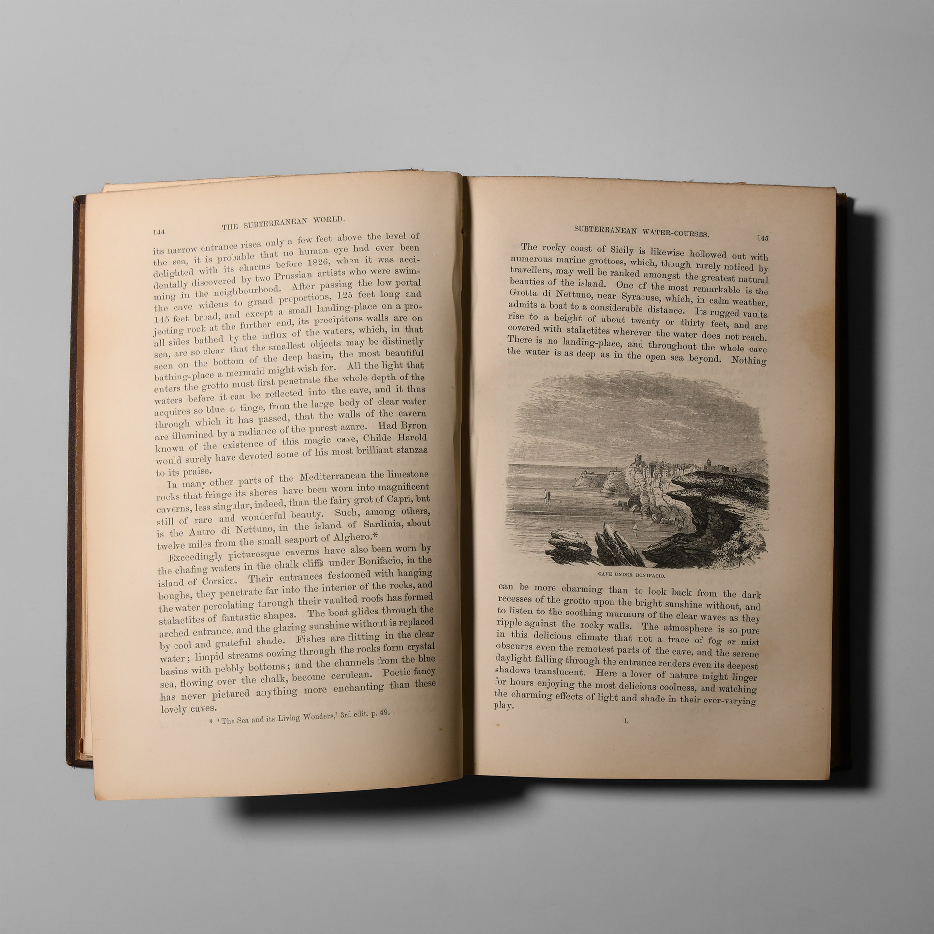 Natural History Books - Hartwig - The Subterranean World
