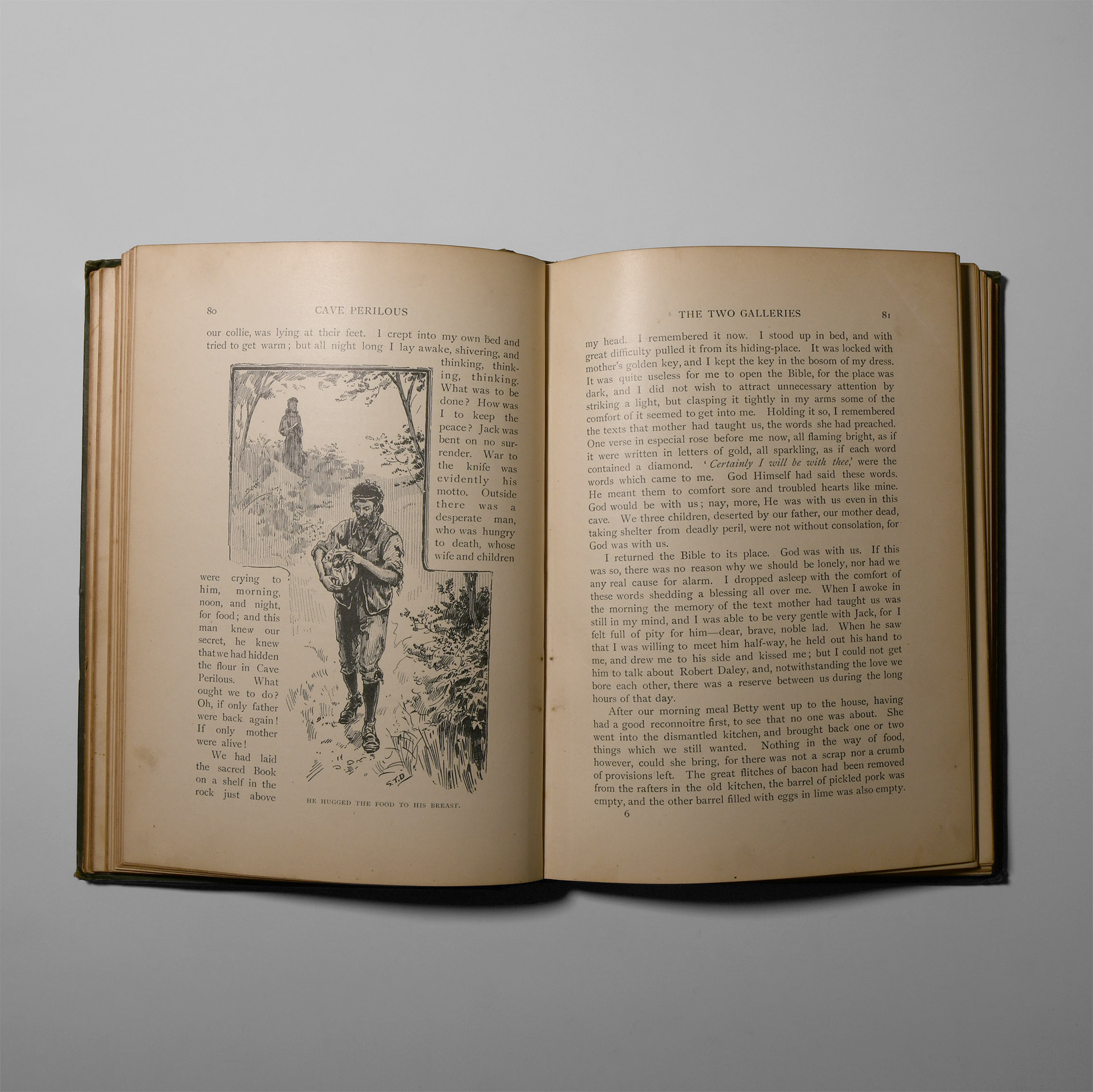Natural History Books - Meade - Cave Perilous