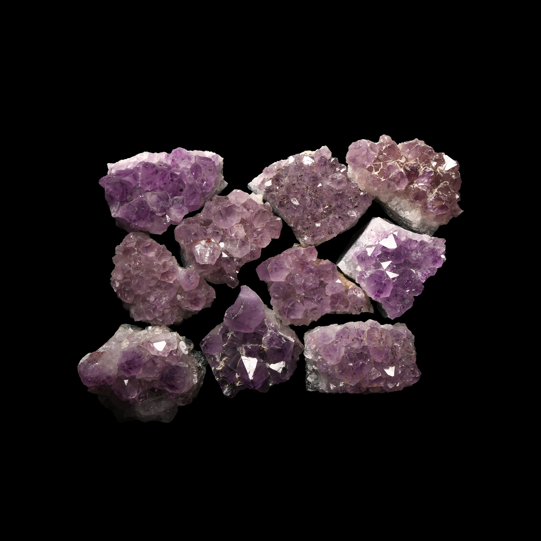 Natural History - Cut Amethyst Crystal Geode Section Group