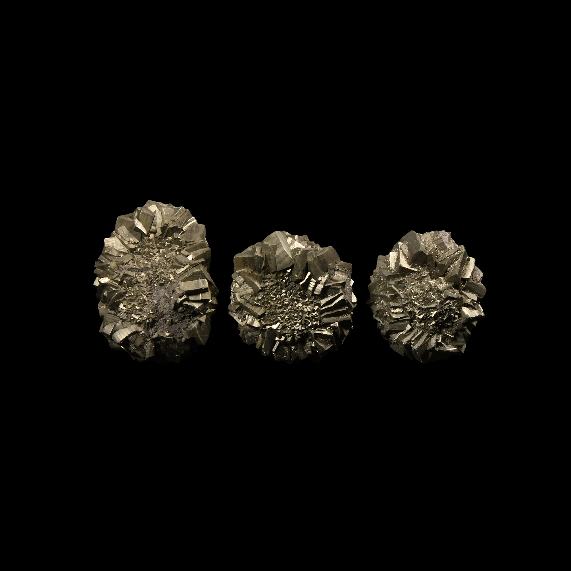 Natural History - Pyrite Crystal 'Flower' Specimen Group