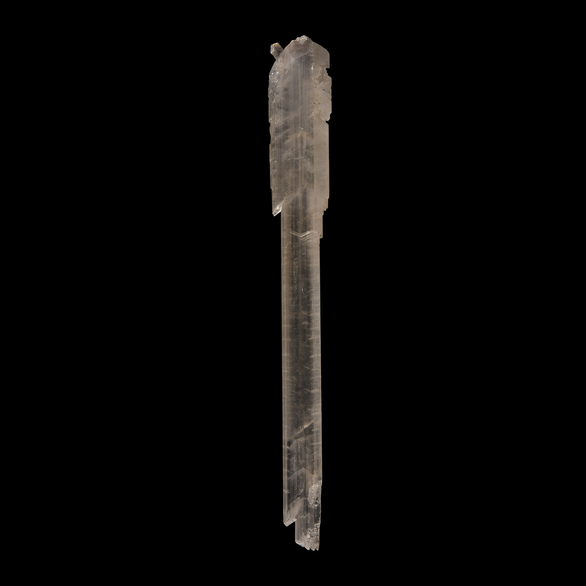 Natural History - Very Large Selenite Crystal Specimen