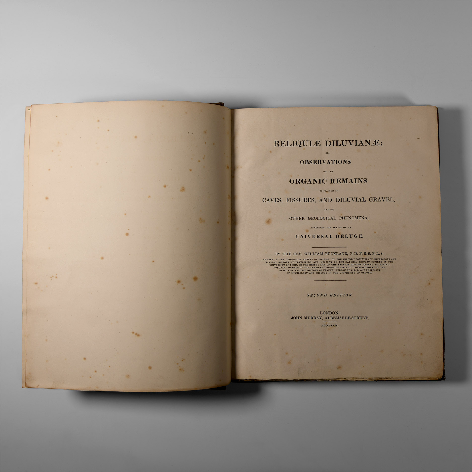 Natural History Books - Buckland - Reliquae Diluvianae