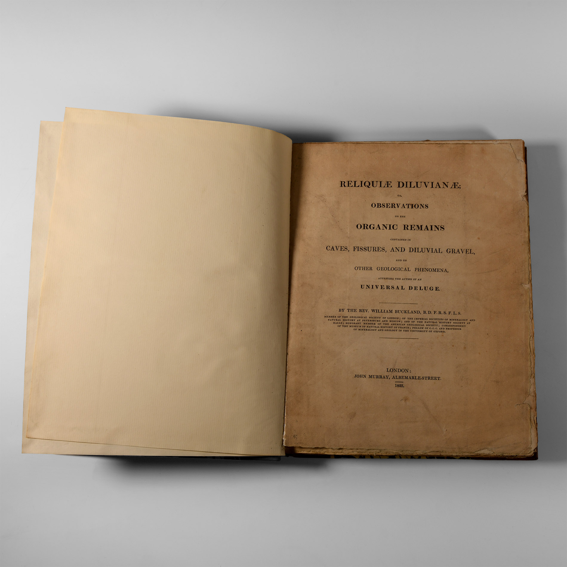 Natural History Books - Buckland - Reliquiae Diluvianae