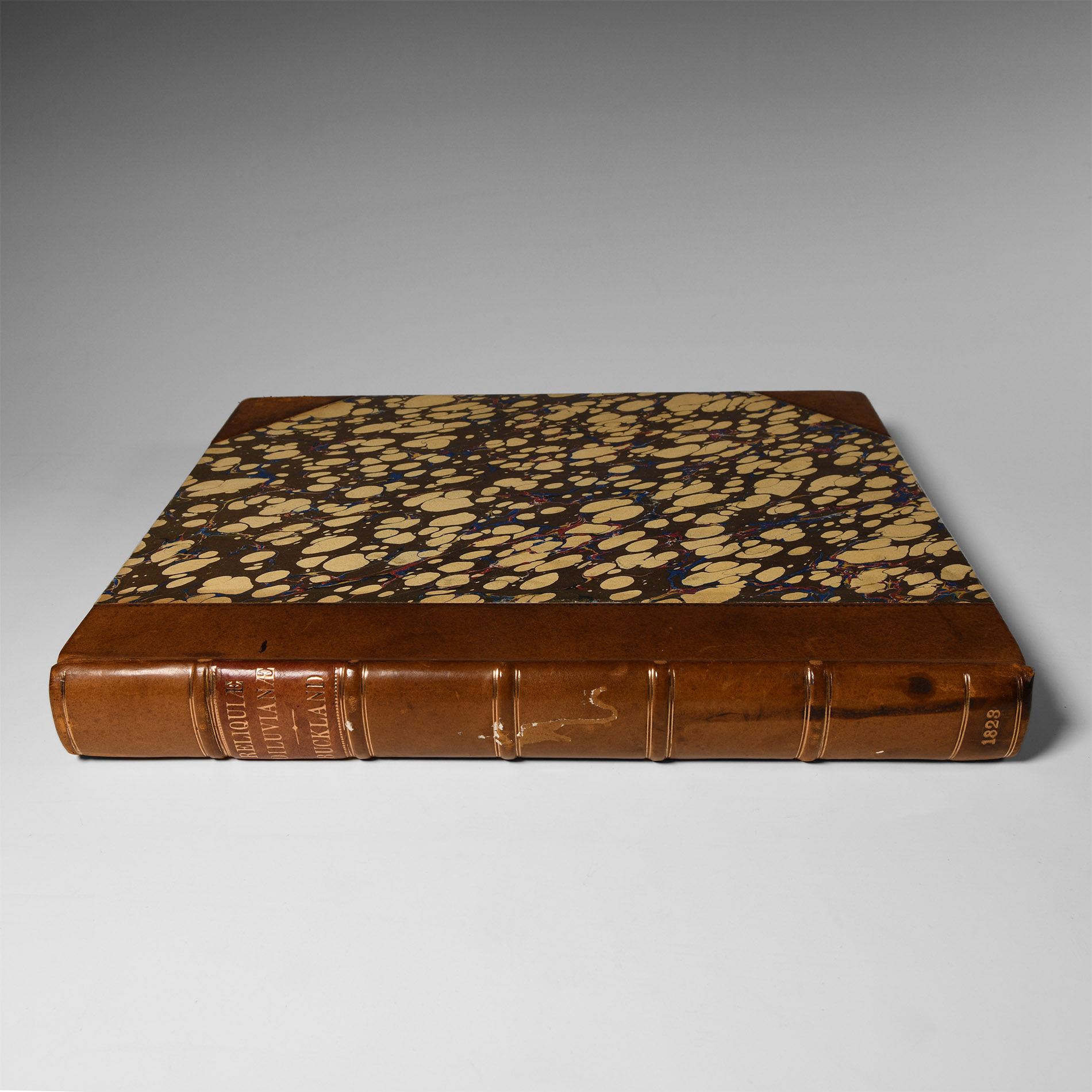 Natural History Books - Buckland - Reliquiae Diluvianae