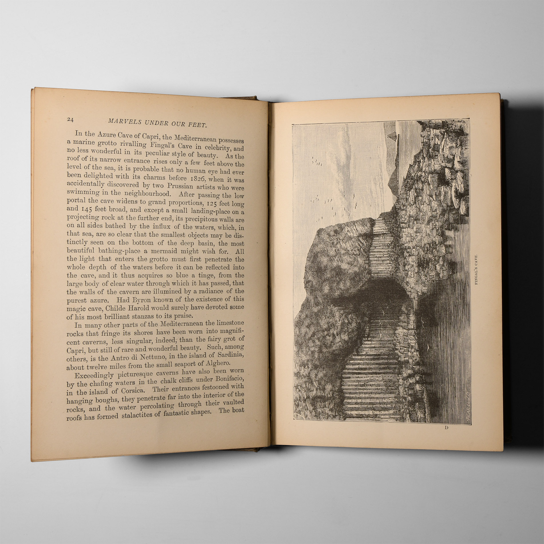 Natural History Books - Hartwig - Marvels Under Our Feet