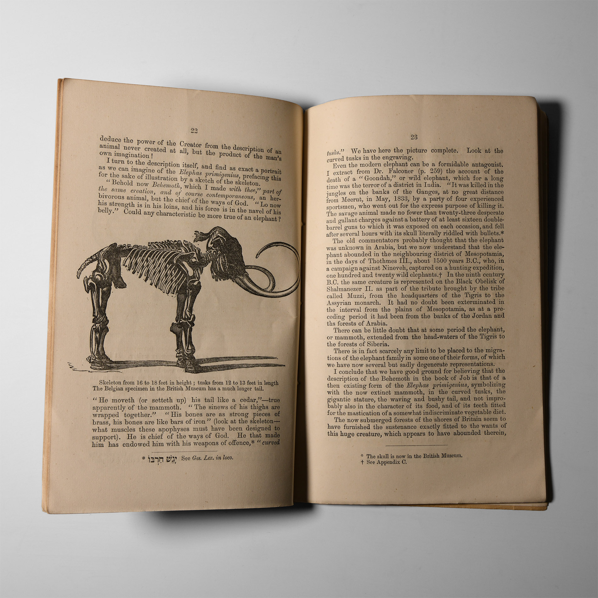 Natural History Books - Howard - Caves of South Devon