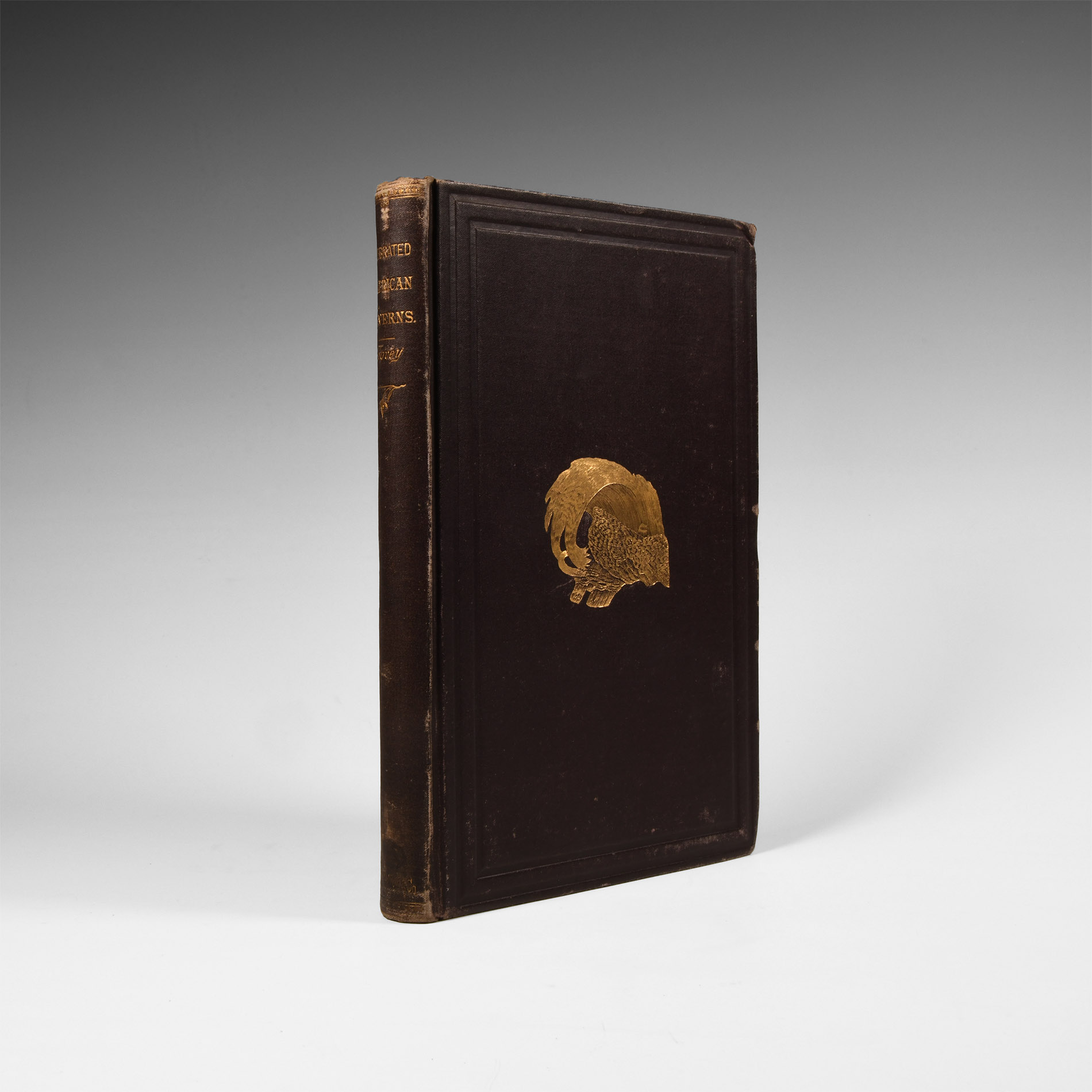 Natural History Books - Hovey - Celebrated American Caverns