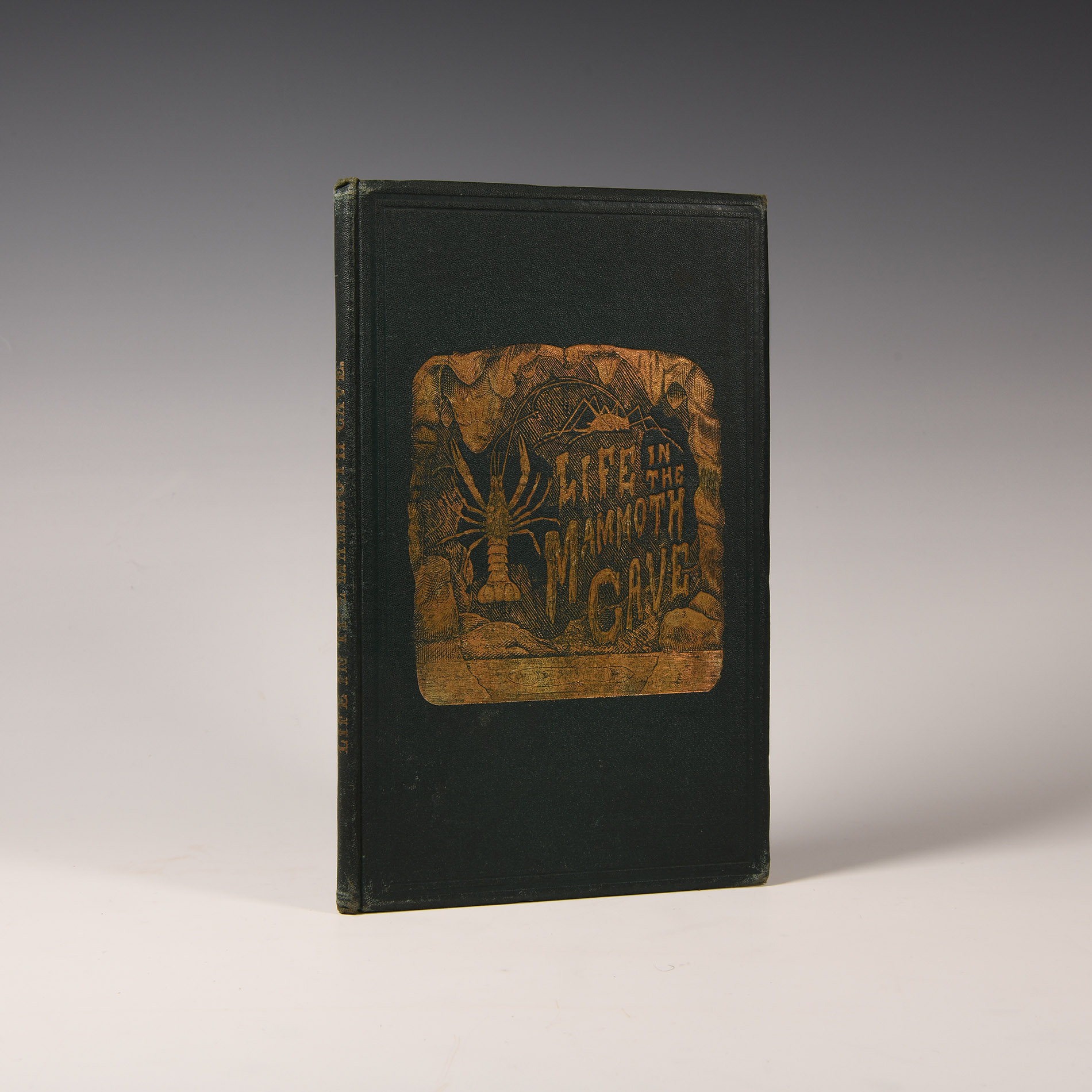 Natural History Books - Packard / Putnam - Mammoth Cave and Its Inhabitants